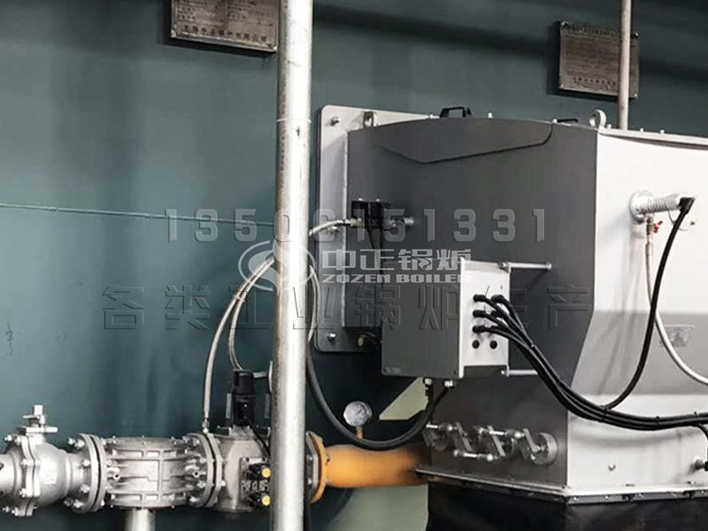 阿里燃煤锅炉规格 价格/参数/原理